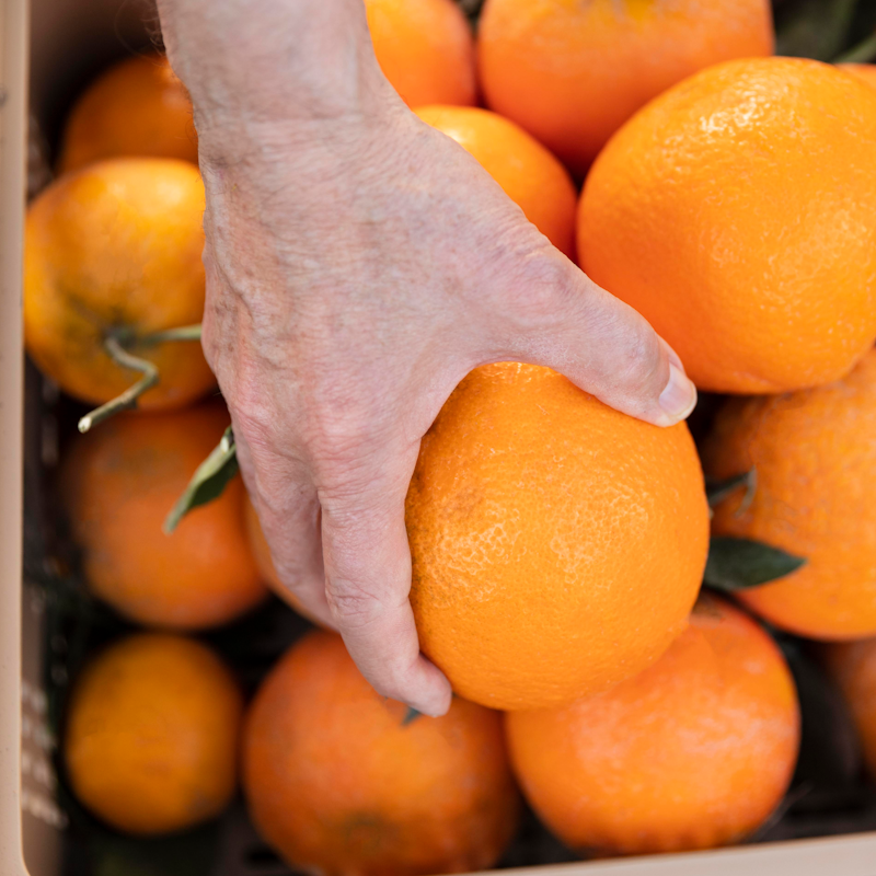 Naranjas